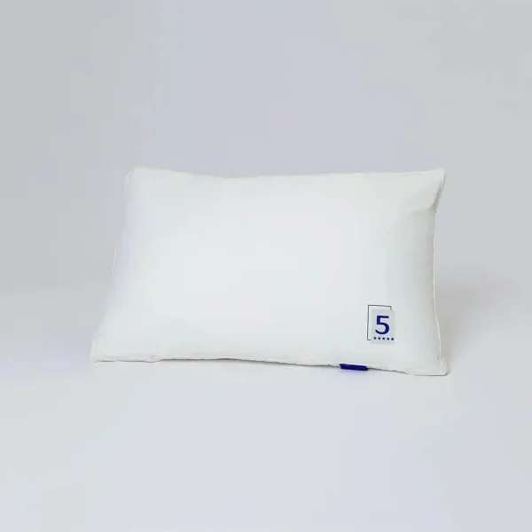 Microfiber Filling Cloud Pillow
