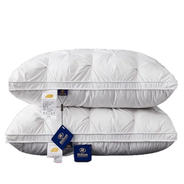 Pillow with Hotel-Style Stitched Flange